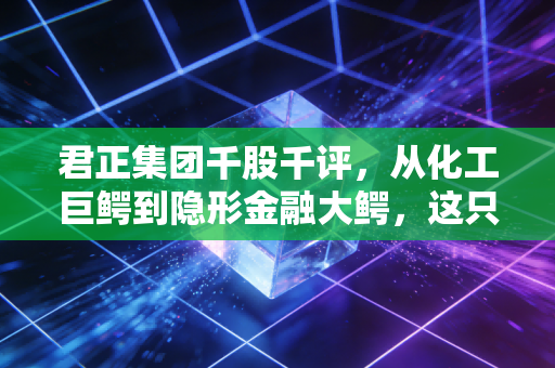 君正集团千股千评，从化工巨鳄到隐形金融大鳄，这只股到底值不值得长情相守？