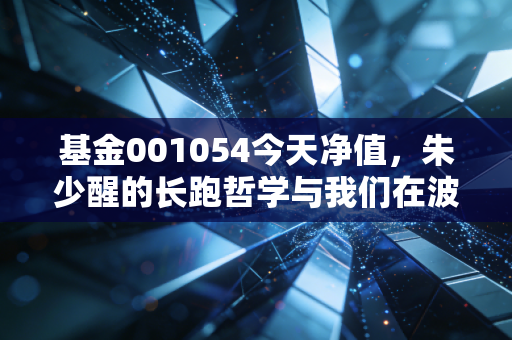 基金001054今天净值,朱少醒的长跑哲学与我们在波动中的焦虑