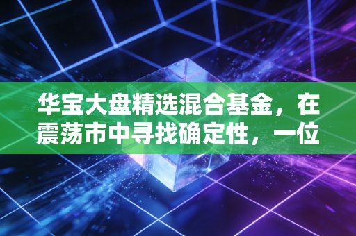 华宝大盘精选混合基金，在震荡市中寻找确定性，一位老将基金的慢与快辩证法