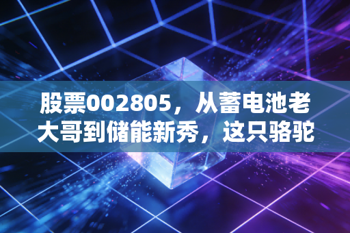 股票002805,从蓄电池老大哥到储能新秀,这只骆驼还能跑多远?