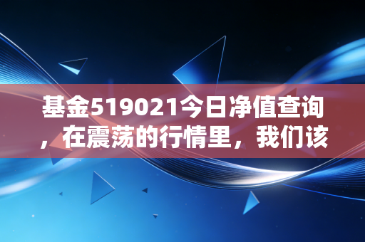 基金519021今日净值查询，在震荡的行情里，我们该如何审视这只老牌混合基？