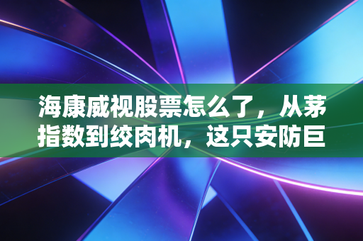 海康威视股票怎么了，从茅指数到绞肉机，这只安防巨头的至暗时刻与未来迷局