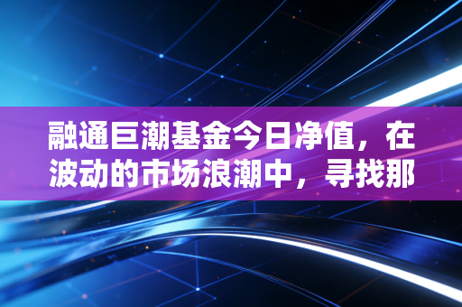 融通巨潮基金今日净值,在波动的市场浪潮中,寻找那份稳稳的幸福
