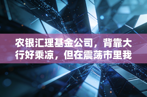 农银汇理基金公司,背靠大行好乘凉,但在震荡市里我们该如何审视这位稳健派?