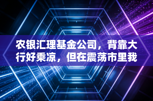 农银汇理基金公司，背靠大行好乘凉，但在震荡市里我们该如何审视这位稳健派？