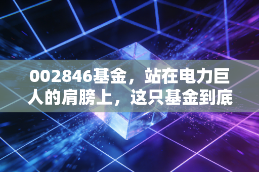 002846基金，站在电力巨人的肩膀上，这只基金到底值不值得托付？