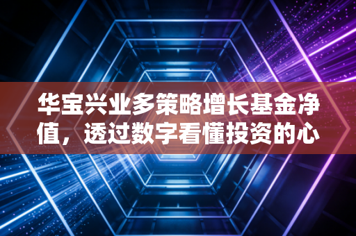 华宝兴业多策略增长基金净值,透过数字看懂投资的心跳与体温