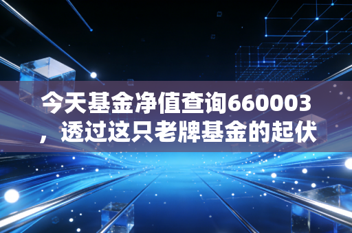 今天基金净值查询660003，透过这只老牌基金的起伏，聊聊普通投资者的净值焦虑症