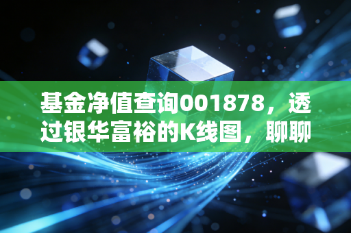 基金净值查询001878，透过银华富裕的K线图，聊聊我们该如何面对过山车般的投资人生