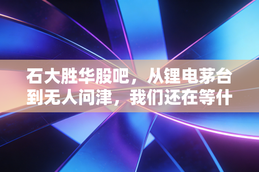 石大胜华股吧，从锂电茅台到无人问津，我们还在等什么？