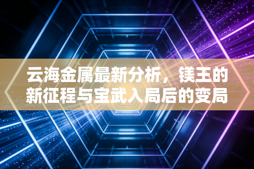 云海金属最新分析，镁王的新征程与宝武入局后的变局