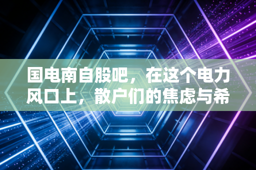 国电南自股吧，在这个电力风口上，散户们的焦虑与希望究竟值几斤几两？
