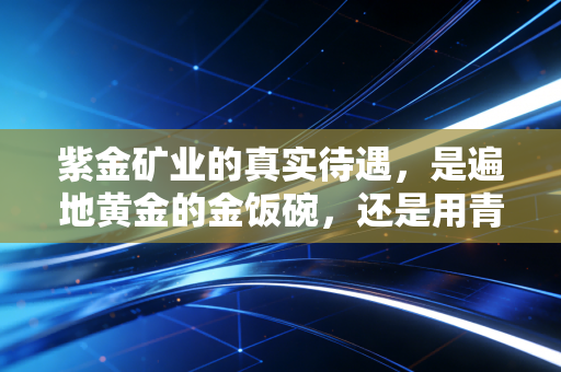 紫金矿业的真实待遇，是遍地黄金的金饭碗，还是用青春换钱的苦力营？