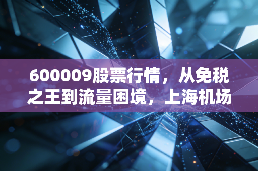 600009股票行情，从免税之王到流量困境，上海机场的至暗时刻过去了没？