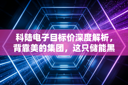 科陆电子目标价深度解析,背靠美的集团,这只储能黑马能飞多高?