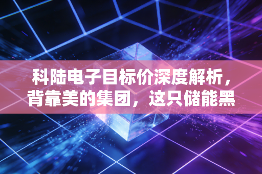科陆电子目标价深度解析，背靠美的集团，这只储能黑马能飞多高？