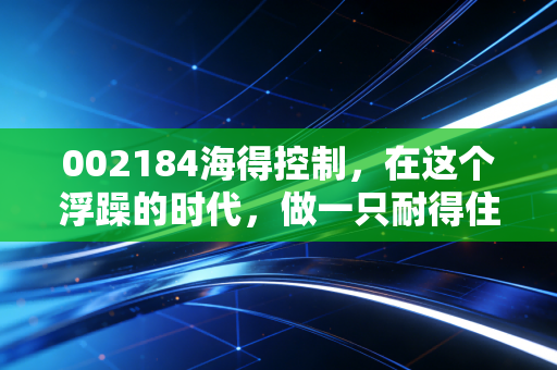 002184海得控制，在这个浮躁的时代，做一只耐得住寂寞的隐形冠军潜力股