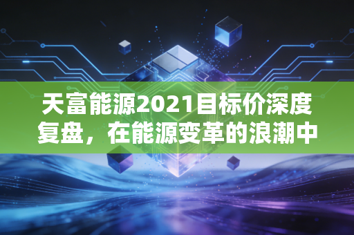 天富能源2021目标价深度复盘，在能源变革的浪潮中，我们是否低估了区域公用事业的护城河？