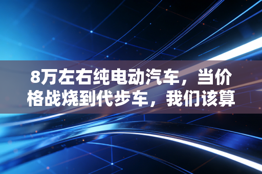 8万左右纯电动汽车，当价格战烧到代步车，我们该算一笔怎样的经济账？