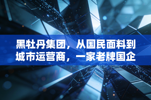 黑牡丹集团，从国民面料到城市运营商，一家老牌国企的硬核突围之路
