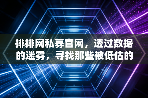 排排网私募官网,透过数据的迷雾,寻找那些被低估的长跑者