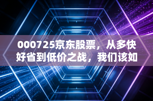 000725京东股票,从多快好省到低价之战,我们该如何重新审视这只电商巨兽?