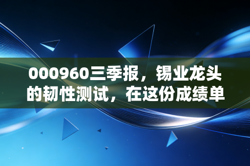 000960三季报，锡业龙头的韧性测试，在这份成绩单里我看到了什么？