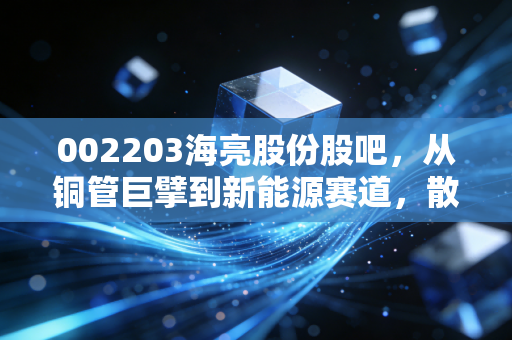 002203海亮股份股吧,从铜管巨擘到新能源赛道,散户情绪波动下的价值投资思考