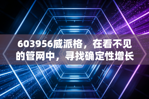 603956威派格，在看不见的管网中，寻找确定性增长的隐形冠军