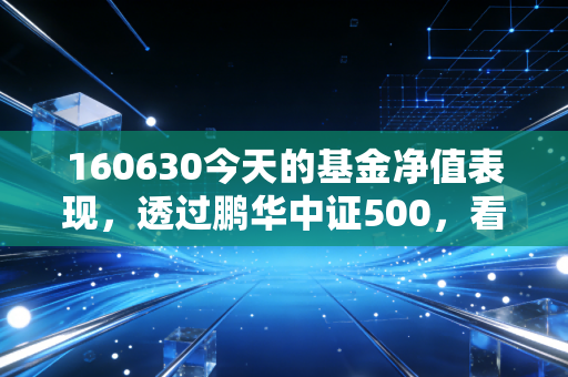 160630今天的基金净值表现，透过鹏华中证500，看清中小盘的博弈与未来