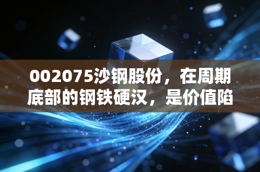 002075沙钢股份，在周期底部的钢铁硬汉，是价值陷阱还是黄金坑？