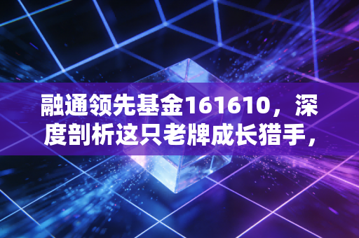 融通领先基金161610,深度剖析这只老牌成长猎手,到底值不值得托付?
