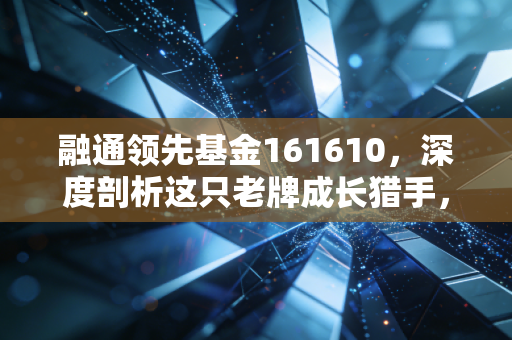 融通领先基金161610,深度剖析这只老牌成长猎手,到底值不值得托付?