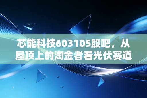 芯能科技603105股吧,从屋顶上的淘金者看光伏赛道的长坡厚雪,散户该坚守还是离场?
