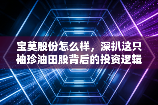 宝莫股份怎么样,深扒这只袖珍油田股背后的投资逻辑与风险