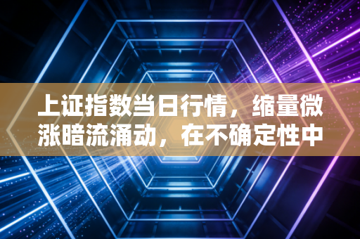 上证指数当日行情，缩量微涨暗流涌动，在不确定性中寻找投资的定海神针