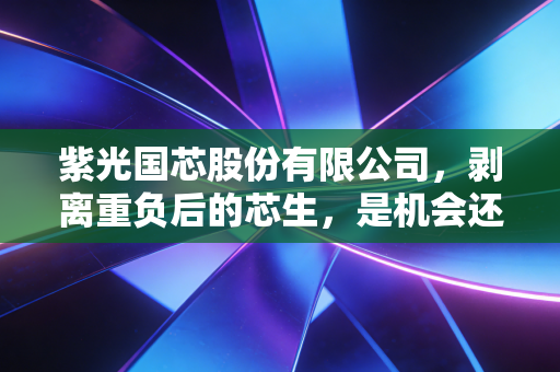 紫光国芯股份有限公司,剥离重负后的芯生,是机会还是冒险?