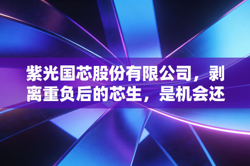 紫光国芯股份有限公司,剥离重负后的芯生,是机会还是冒险?