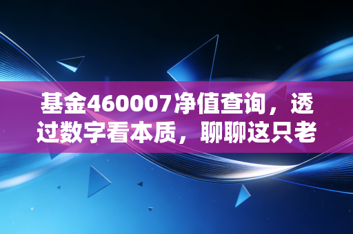 基金460007净值查询,透过数字看本质,聊聊这只老牌中小盘基金的投资心法