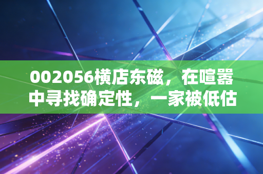 002056横店东磁，在喧嚣中寻找确定性，一家被低估的磁力老将