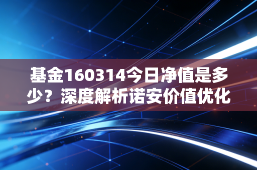 基金160314今日净值是多少?深度解析诺安价值优化背后的投资逻辑与持有智慧