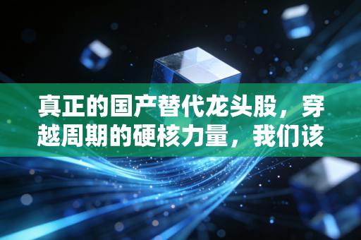 真正的国产替代龙头股，穿越周期的硬核力量，我们该如何抓住下一个十年？
