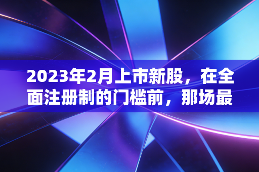 2023年2月上市新股，在全面注册制的门槛前，那场最后的狂欢与启示