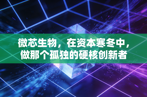 微芯生物，在资本寒冬中，做那个孤独的硬核创新者