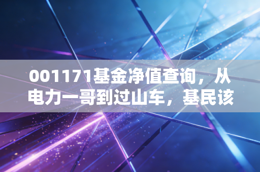001171基金净值查询,从电力一哥到过山车,基民该如何守住钱袋子?