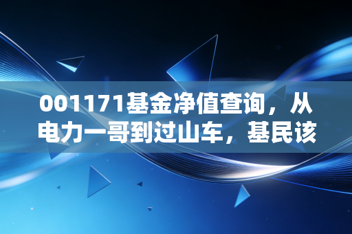 001171基金净值查询，从电力一哥到过山车，基民该如何守住钱袋子？