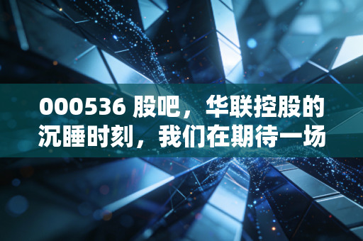 000536 股吧，华联控股的沉睡时刻，我们在期待一场怎样的价值回归？