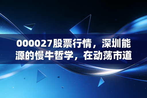 000027股票行情，深圳能源的慢牛哲学，在动荡市道中寻找确定性