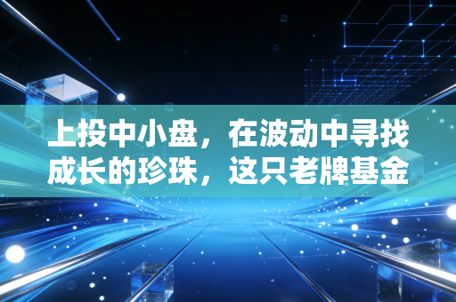 上投中小盘,在波动中寻找成长的珍珠,这只老牌基金还能打吗?