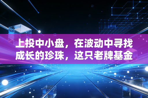 上投中小盘，在波动中寻找成长的珍珠，这只老牌基金还能打吗？